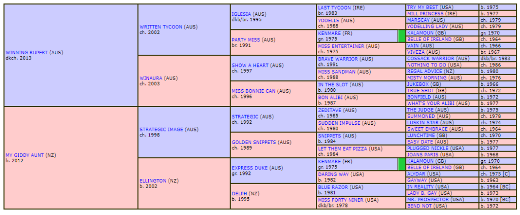 unnamed colt win my